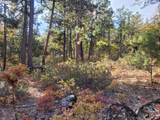 605 Pine Creek Rd - Photo 3