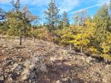 605 Pine Creek Rd - Photo 8