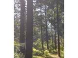 88675 Whiting Ln - Photo 43