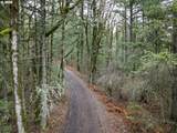  Seward Rd - Photo 6