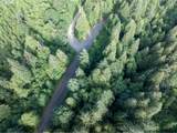 0 Dubois Rd - Photo 5