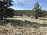  Yellow Jacket Spring Rd - Photo 14