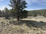  Yellow Jacket Spring Rd - Photo 15