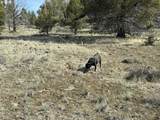  Yellow Jacket Spring Rd - Photo 23
