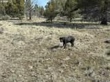  Yellow Jacket Spring Rd - Photo 24