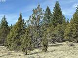  Yellow Jacket Spring Rd - Photo 28