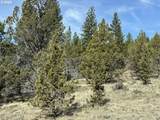  Yellow Jacket Spring Rd - Photo 31