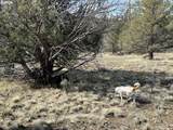  Yellow Jacket Spring Rd - Photo 37