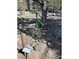  Yellow Jacket Spring Rd - Photo 41
