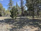  Yellow Jacket Spring Rd - Photo 47