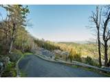 318 Skyline Blvd - Photo 10