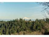 318 Skyline Blvd - Photo 11