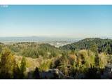 318 Skyline Blvd - Photo 13