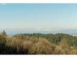 318 Skyline Blvd - Photo 17