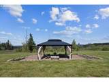 31453 Stone Creek Ln - Photo 35