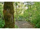 4500 Hart Rd - Photo 42