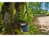 4500 Hart Rd - Photo 43
