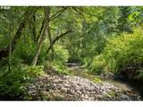 4500 Hart Rd - Photo 44