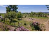 15682 Highway 395 - Photo 44