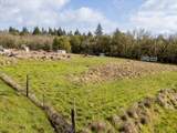 1230 Becker Rd - Photo 9