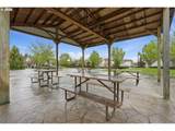 11515 130TH Ave - Photo 33