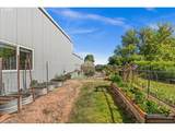 43300 Cedar Canyon Rd - Photo 38