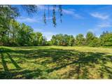 43300 Cedar Canyon Rd - Photo 43