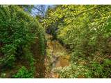 43300 Cedar Canyon Rd - Photo 48