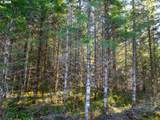  Camp Creek Rd - Photo 17