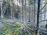  Camp Creek Rd - Photo 20