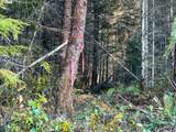  Camp Creek Rd - Photo 22