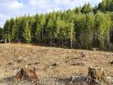 Camp Creek Rd - Photo 24