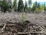  Camp Creek Rd - Photo 26