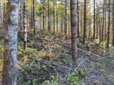  Camp Creek Rd - Photo 35