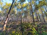  Camp Creek Rd - Photo 36