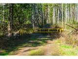  Camp Creek Rd - Photo 38