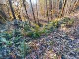  Camp Creek Rd - Photo 43