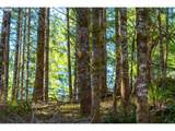  Camp Creek Rd - Photo 46