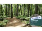 7860 135TH Ave - Photo 48