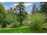 4333 177TH Ln - Photo 28