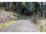 71350 Sunny Cove Rd - Photo 12
