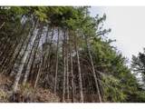 71350 Sunny Cove Rd - Photo 14