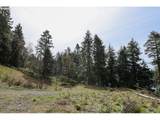 71350 Sunny Cove Rd - Photo 15