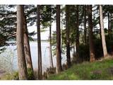 71350 Sunny Cove Rd - Photo 3