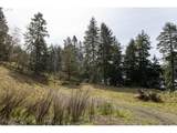 71350 Sunny Cove Rd - Photo 9