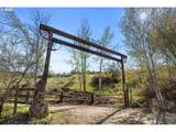 35555 Sparta Ln - Photo 46