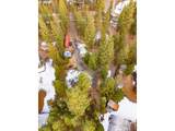 52739 Ammon Rd - Photo 8