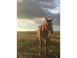 0 Fairgrounds Rd - Photo 14
