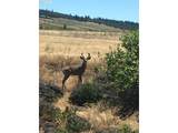 0 Fairgrounds Rd - Photo 9