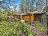 22099 Wild Fern Ln - Photo 37